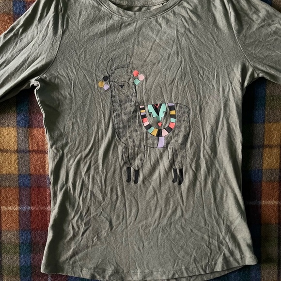 Cat & Jack Festive Llama Long Sleeve Tee (green/grey graphic tee) - Picture 4 of 4